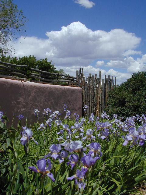 Inn On The Rio Taos Exterior foto